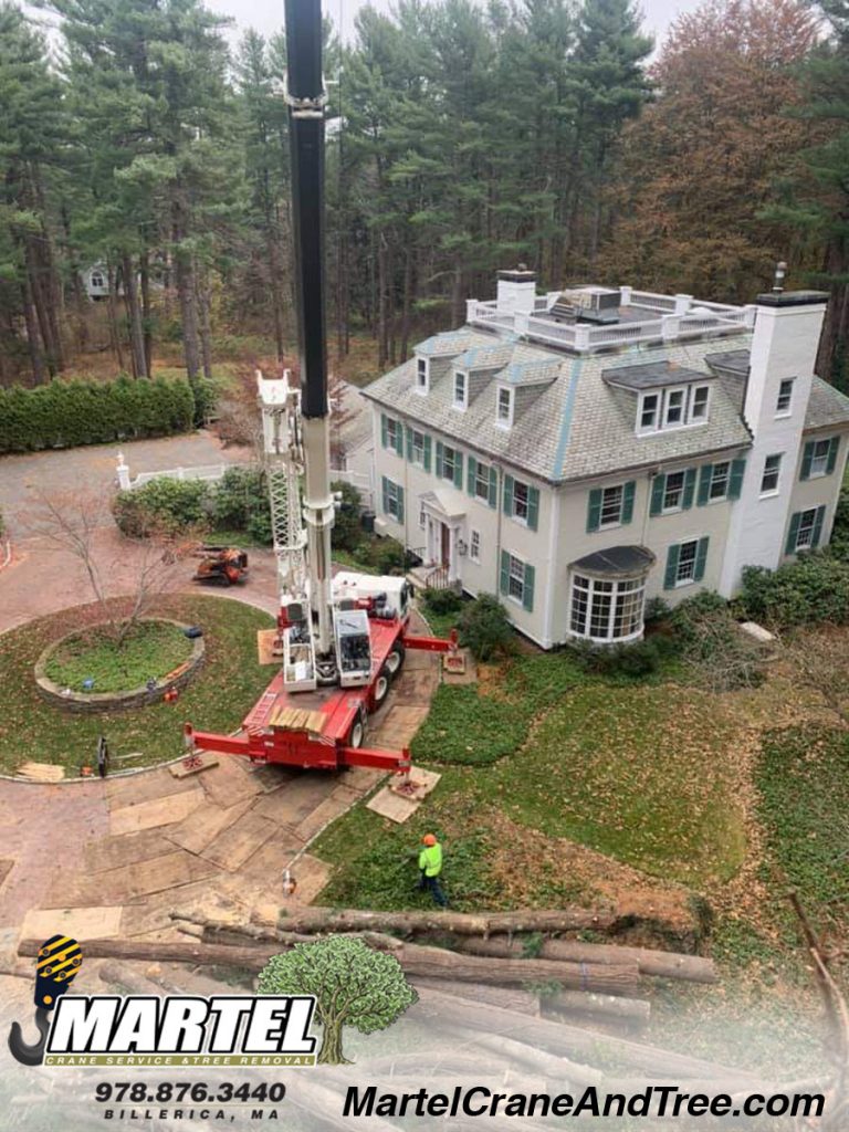 Tree Removal / Tree Service / Crane Service in Weston, MA