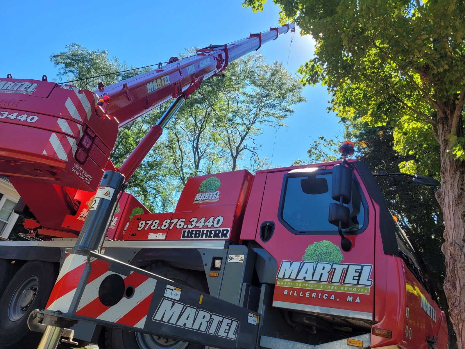 Tree Removal in Lexington, MA