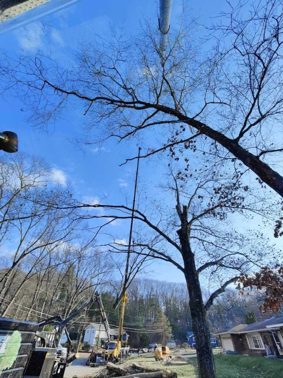 
Martel Crane and Tree used two cranes on this large job in Chelmsford, MA to
remove several trees