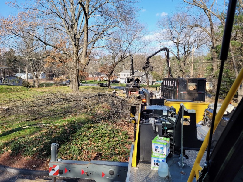 The crew and crane from Martel Crane Service & Tree Removed trees from this
property in Chelmsford, MA.