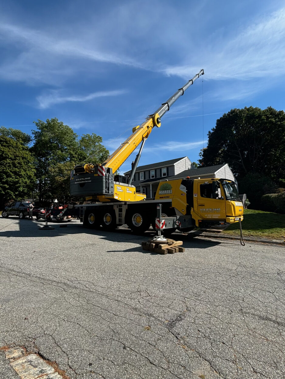 Tree Removal Service in Woburn, MA