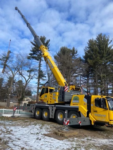 Martel Crane & Tree Service removed large pines from this residential property in Billerica, MA. 