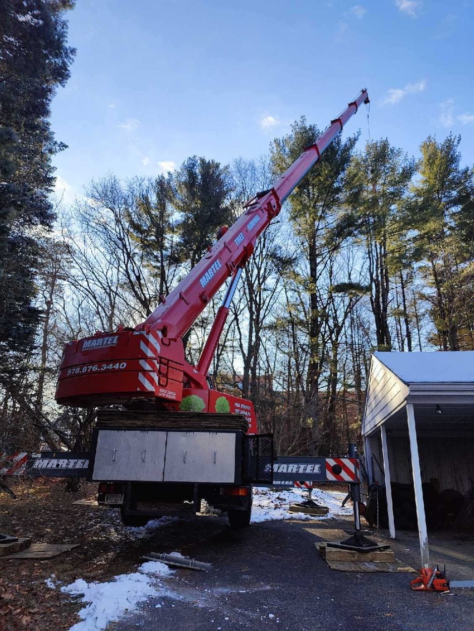 The crew from Martel Crane & Tree Service removed several trees from the yard of this residence in Billerica, MA.
