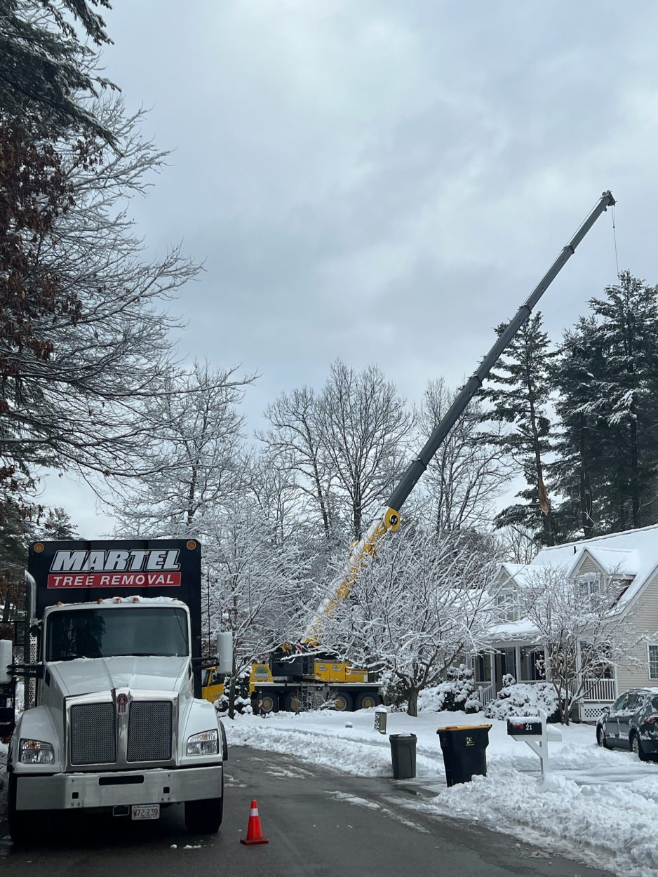 Martel Crane & Tree setup the crane in the driveway of this residence in Westford, MA, to safely remove trees from the property. 