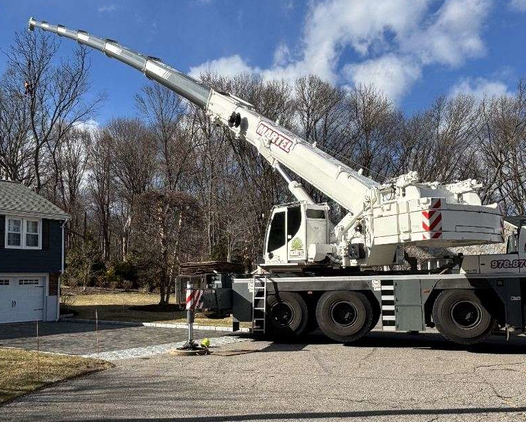 Crane Service and Tree Removal in Billerica, MA.