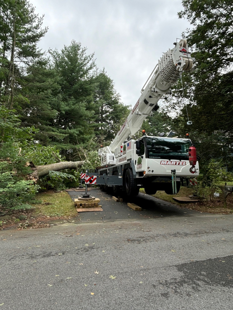 Martel Crane Service & Tree Removal setup in the driveway to remove trees from the yard of this property in Chelmsford, MA. 