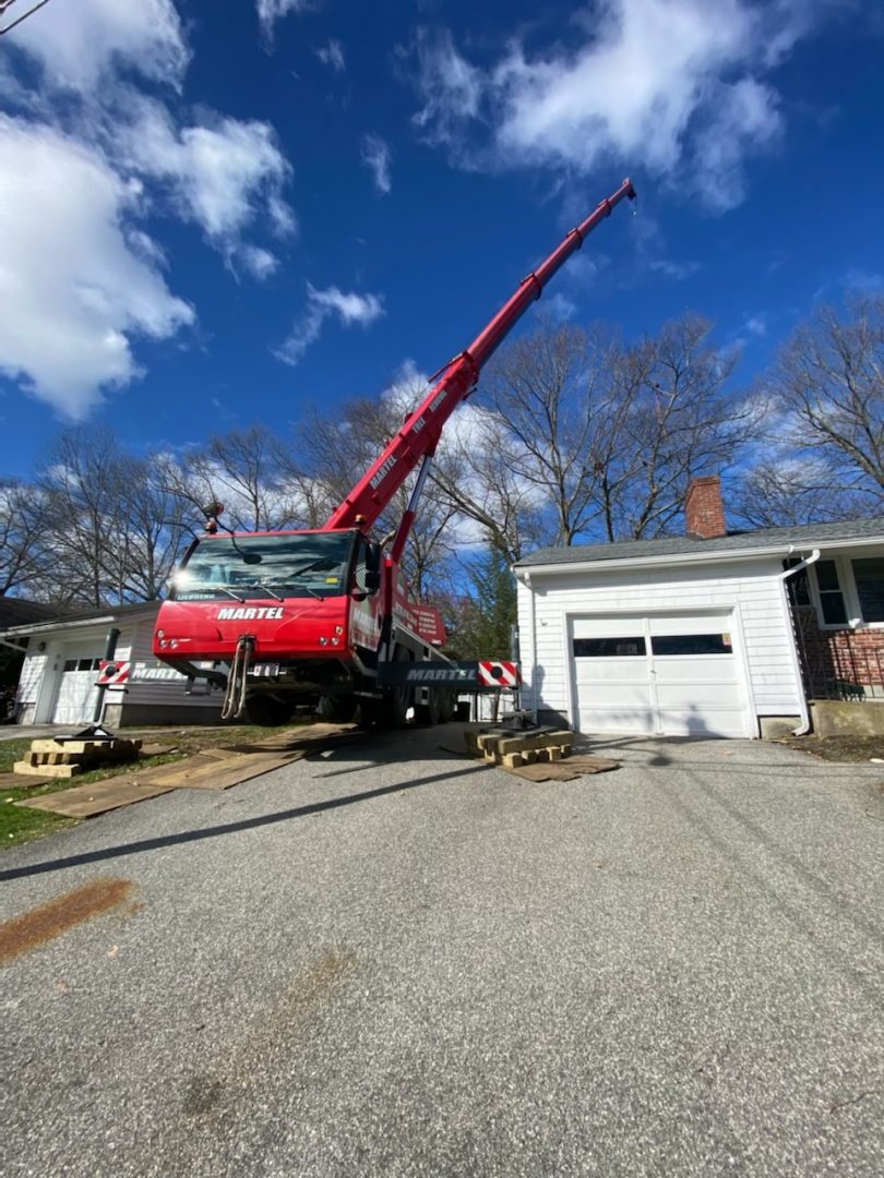 Tree Removal in Lowell, MA