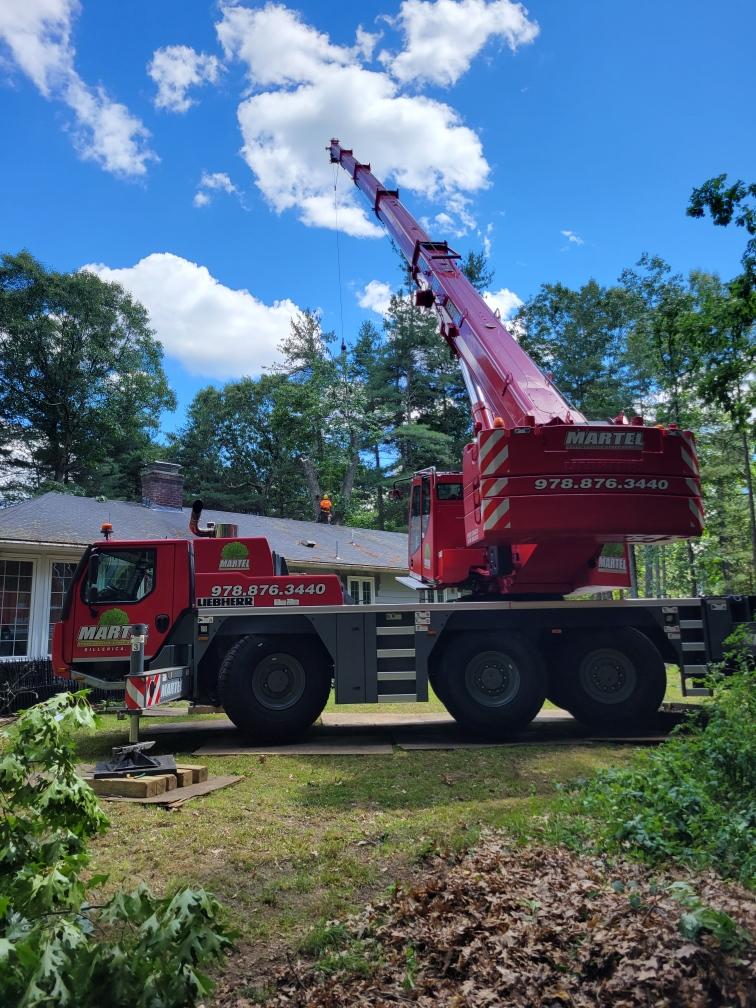    The red crane was moved around this property in Chelmsford, MA, to allow the crew to easily remove multiple trees.