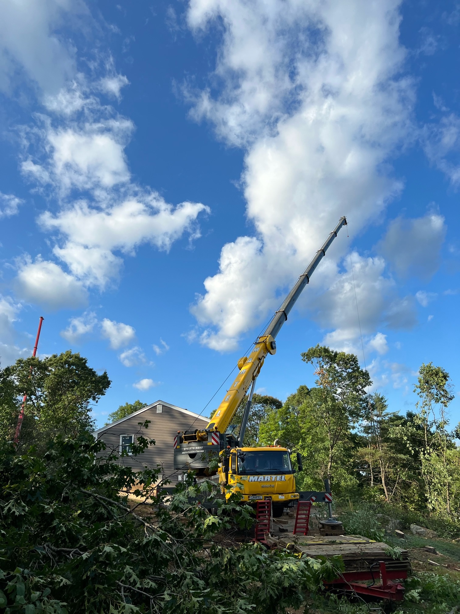 Tree Service and Removal in Billerica, MA.