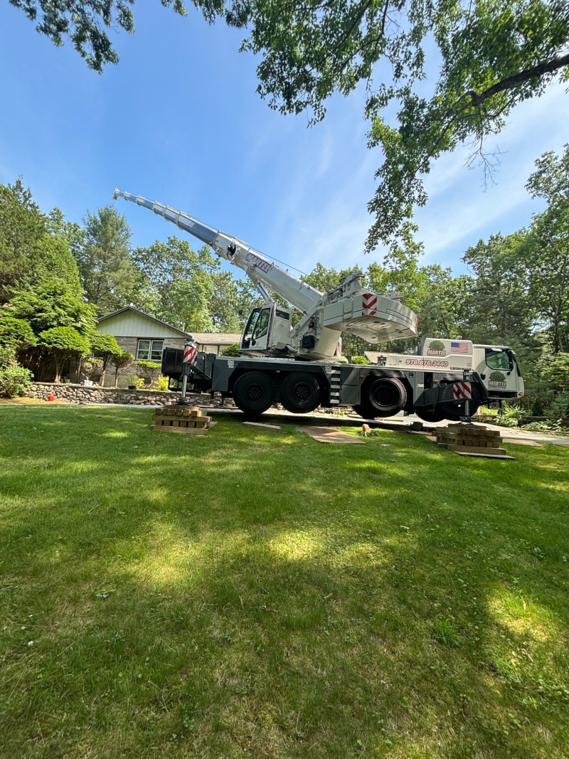 Martel Crane Service & Tree Removal setup the crane in the front of this residence in Lincoln, MA, to remove several trees from around the property.

Call Martel Crane Service & Tree Removal for tree removal service whether you are enhancing your property or have damage from wind and seasonal storms. We utilize our own cranes, bucket trucks and chippers to handle any job.

 