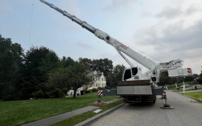 Tree Removal in Billerica, MA.