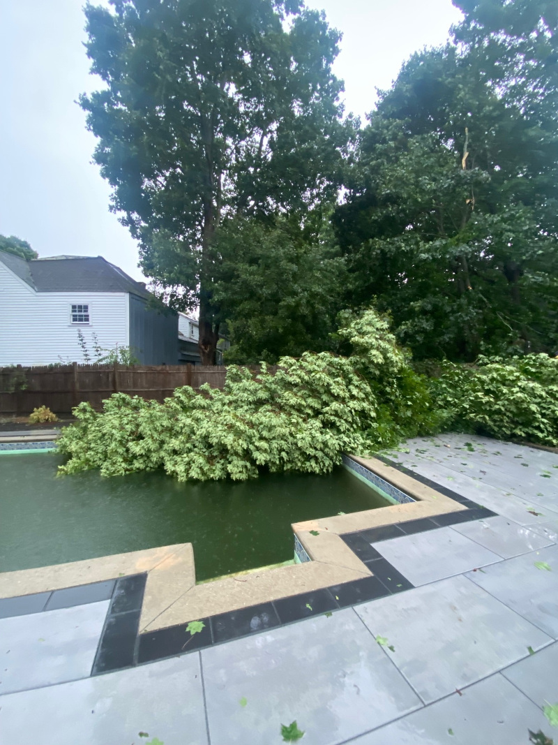 Storm Damage and Tree Removal in Chelmsford, MA.
