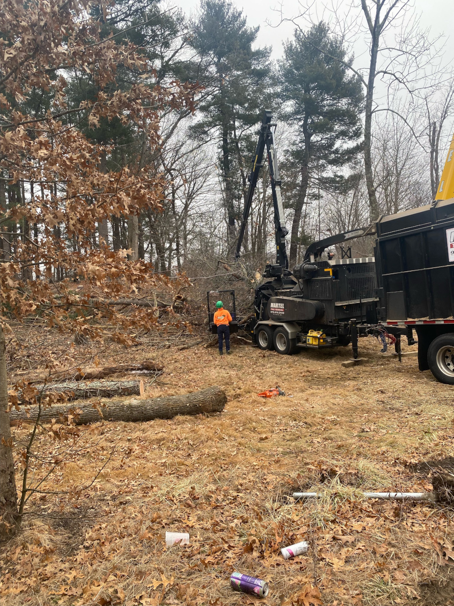 Here is the crew in action removing multiple trees from this property in Billerica, Ma.