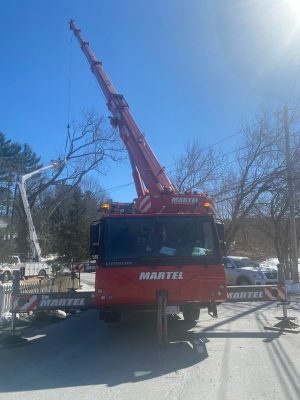 Tree Removal Service in Dracut, MA.