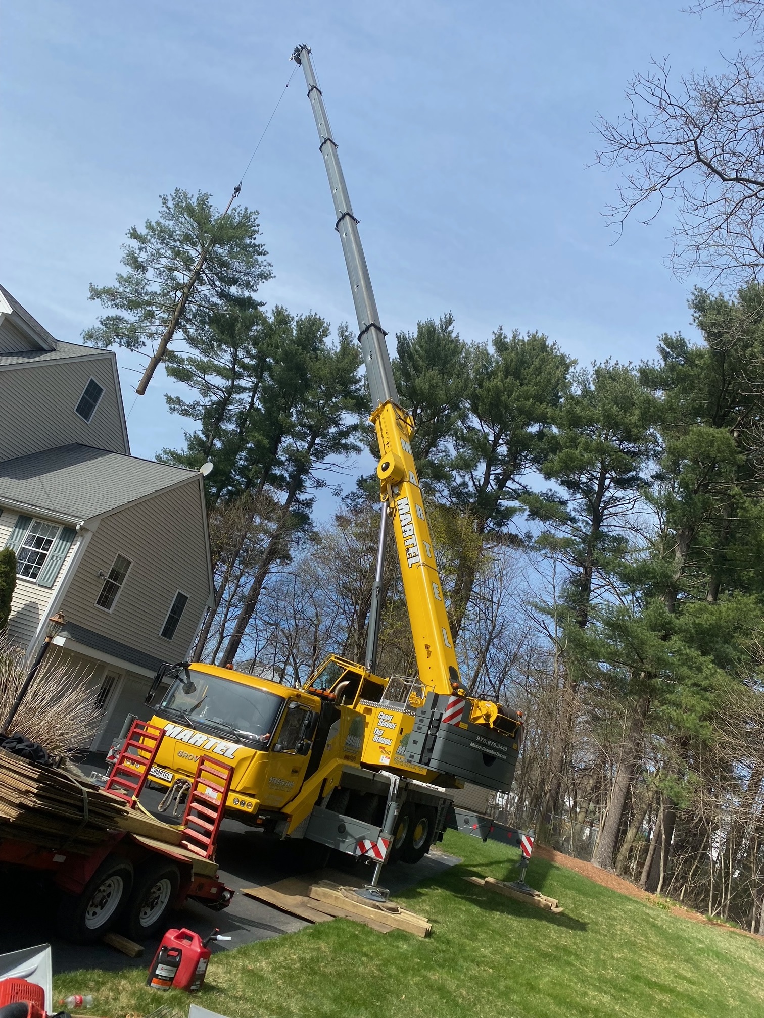 Tree Removal Service in Billerica, MA