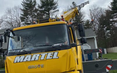 Tree Removal Service in Tewksbury, MA