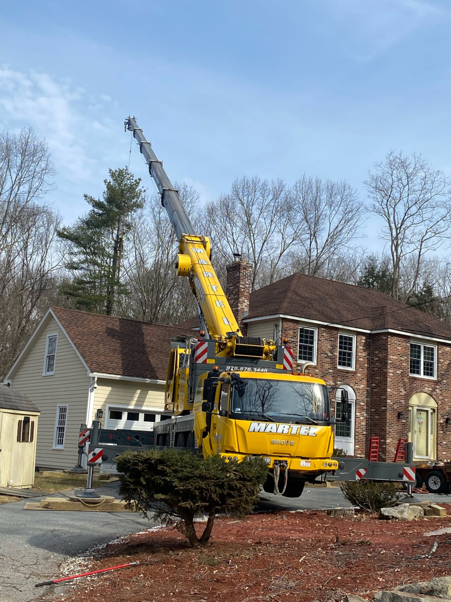 Tree Service and Removal in Chelmsford, MA.