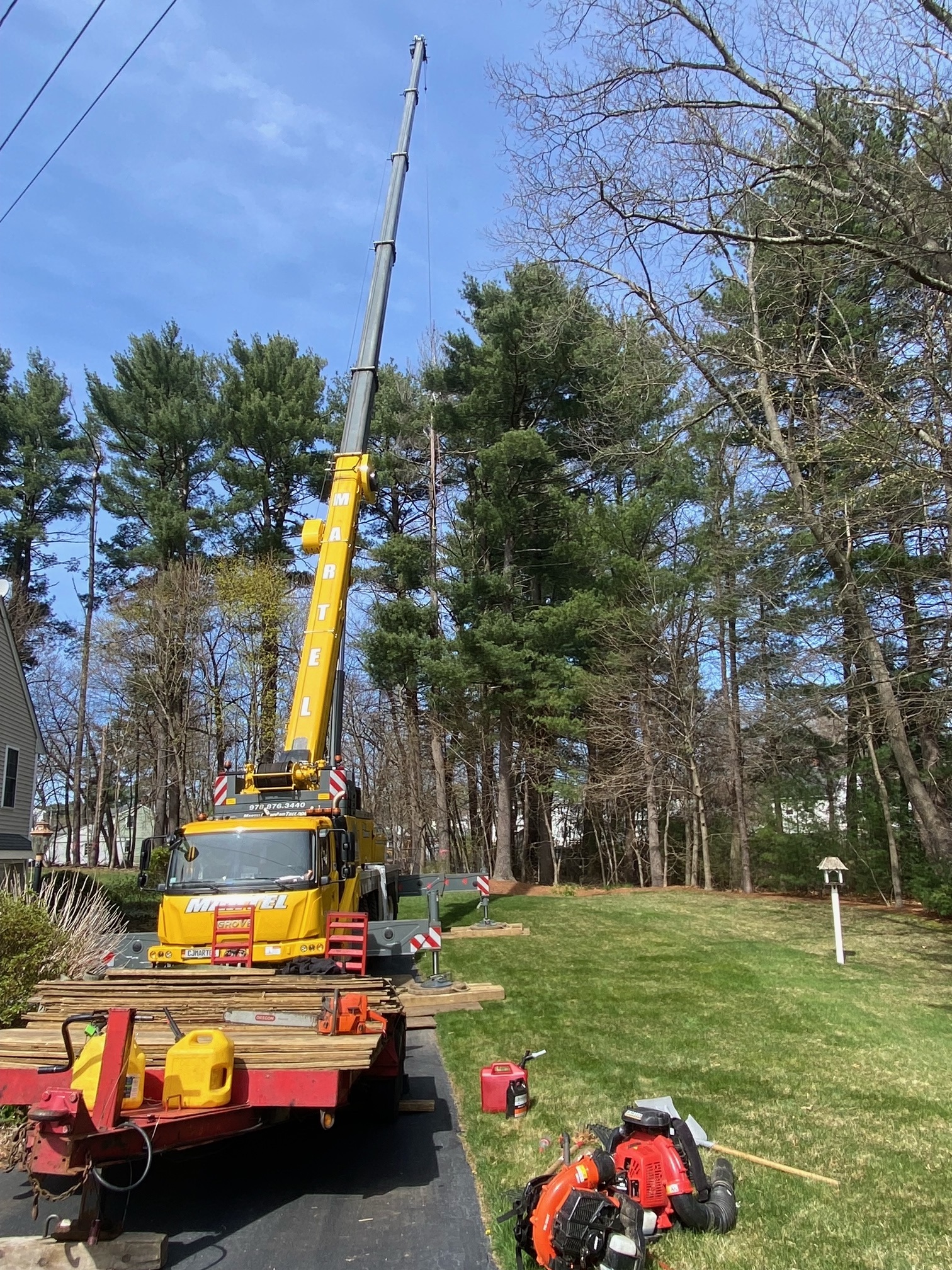 Tree Removal Service in Billerica, MA