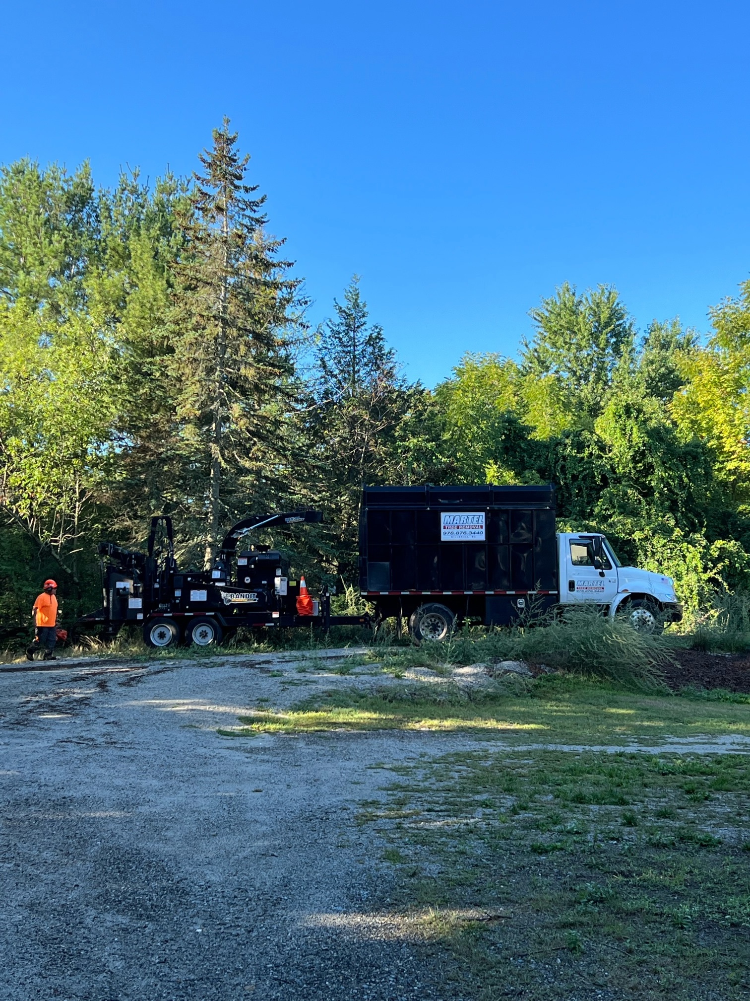 Tree Service and Removal in Billerica, MA.