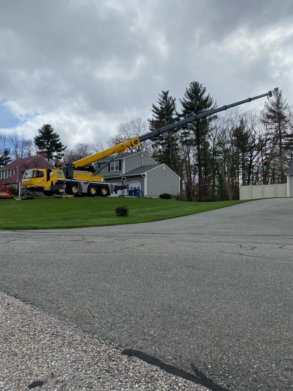 Tree Removal Service in Tewksbury, MA