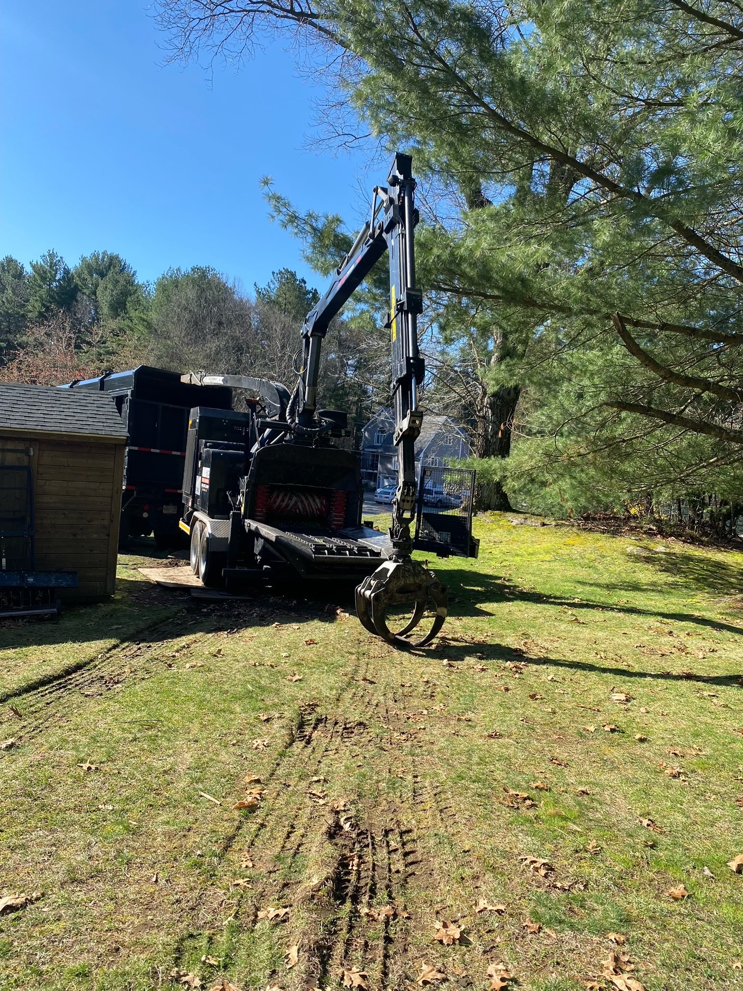 Tree Removal Service in Billerica, MA