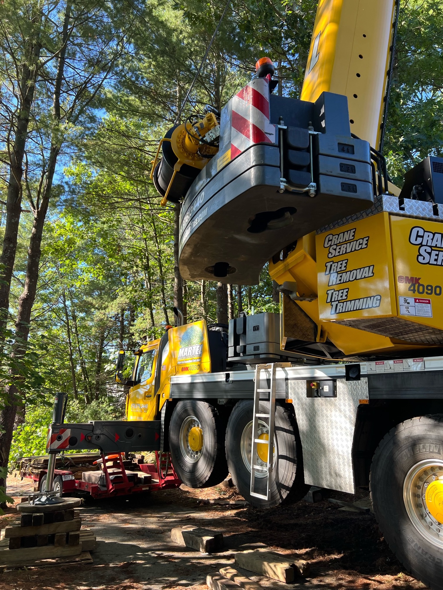 Tree Service and Removal in Billerica, MA.