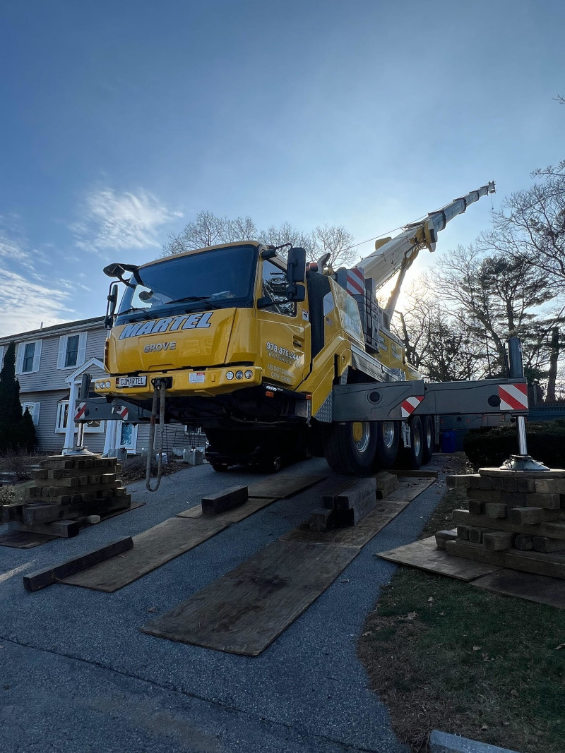 Tree Removal and Service in Arlington, MA. 