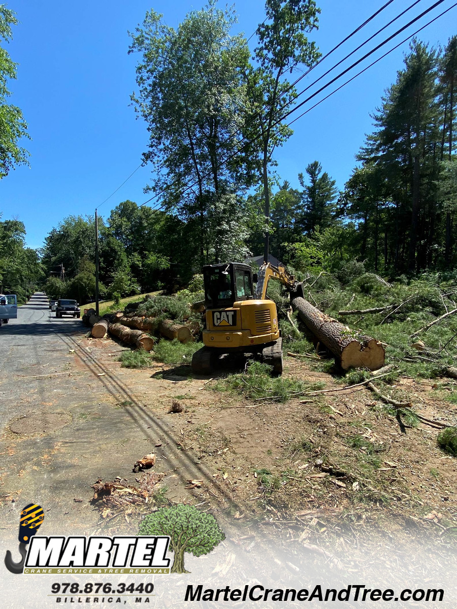 Tree Service and Removal in Wakefield, MA.