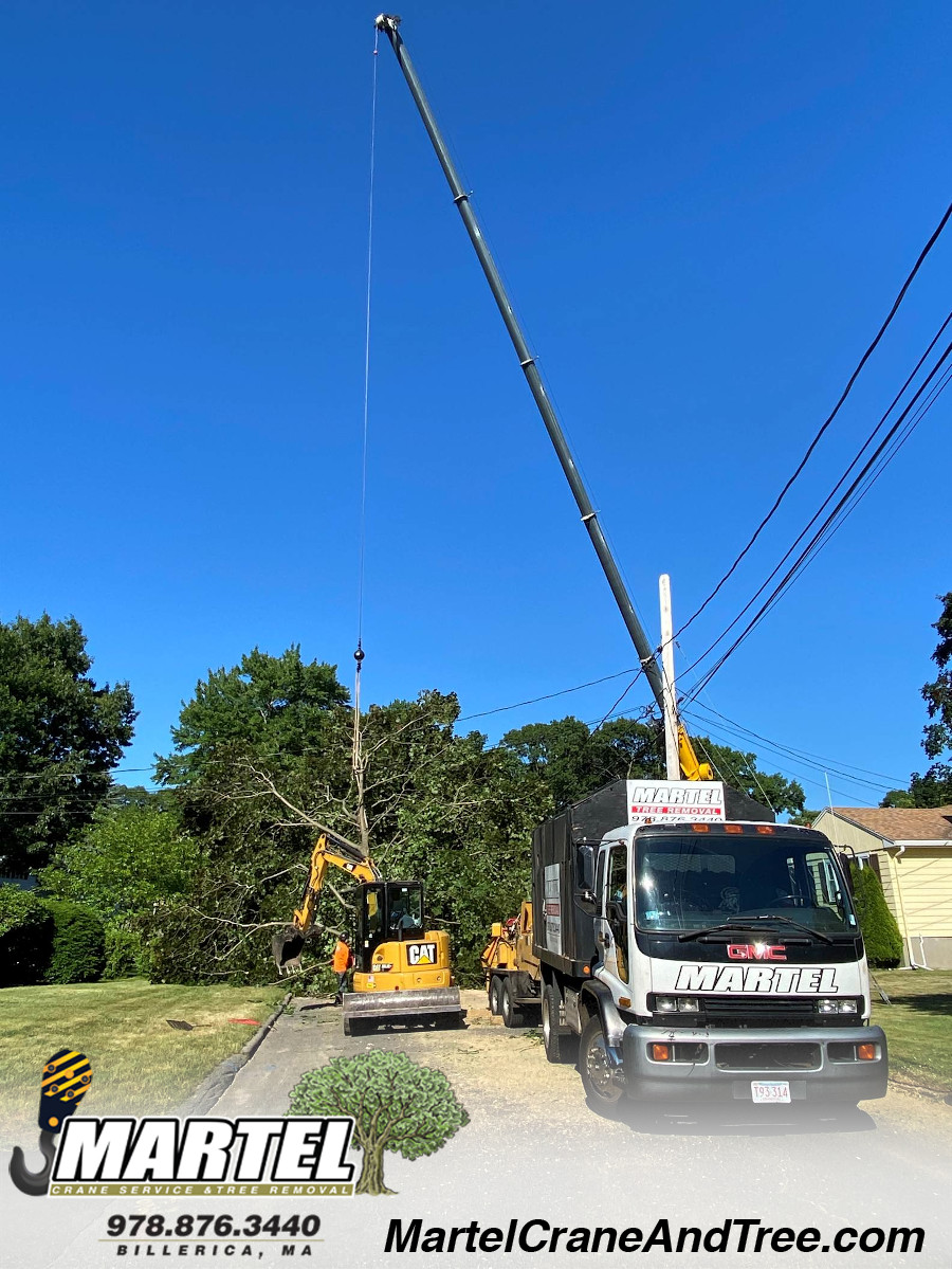 Tree Service and Removal in Wakefield, MA.