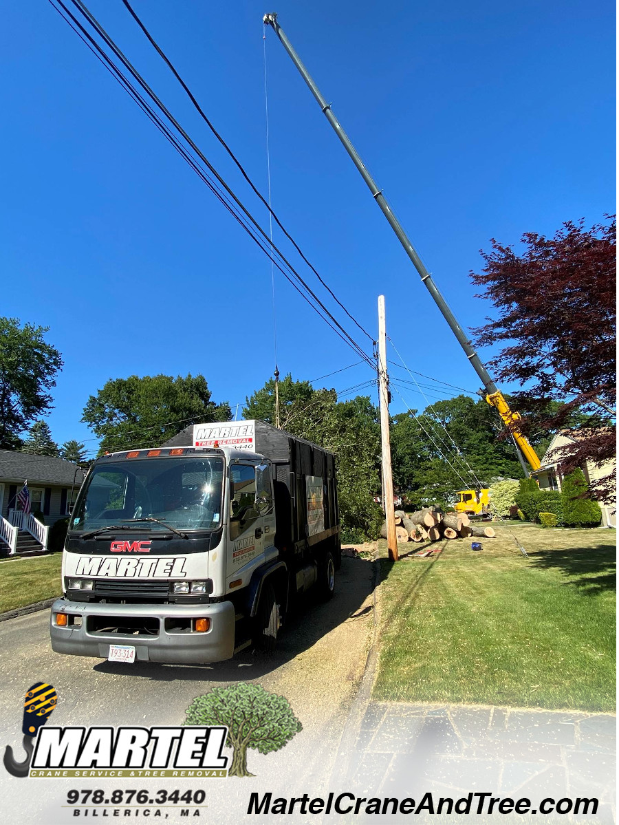 Tree Service and Removal in Wakefield, MA.