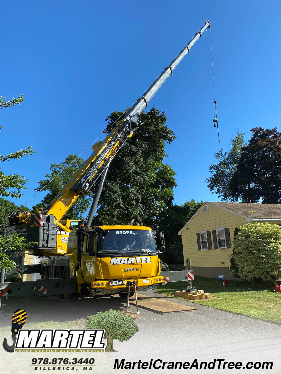 Tree Service and Removal in Wakefield, MA.