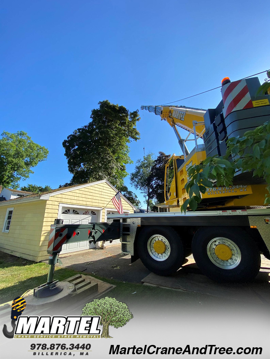 Tree Service and Removal in Wakefield, MA.