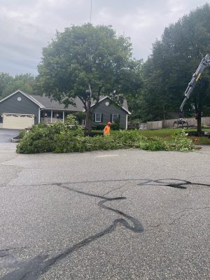 Tree Removal and Crane Rental in Billerica, MA