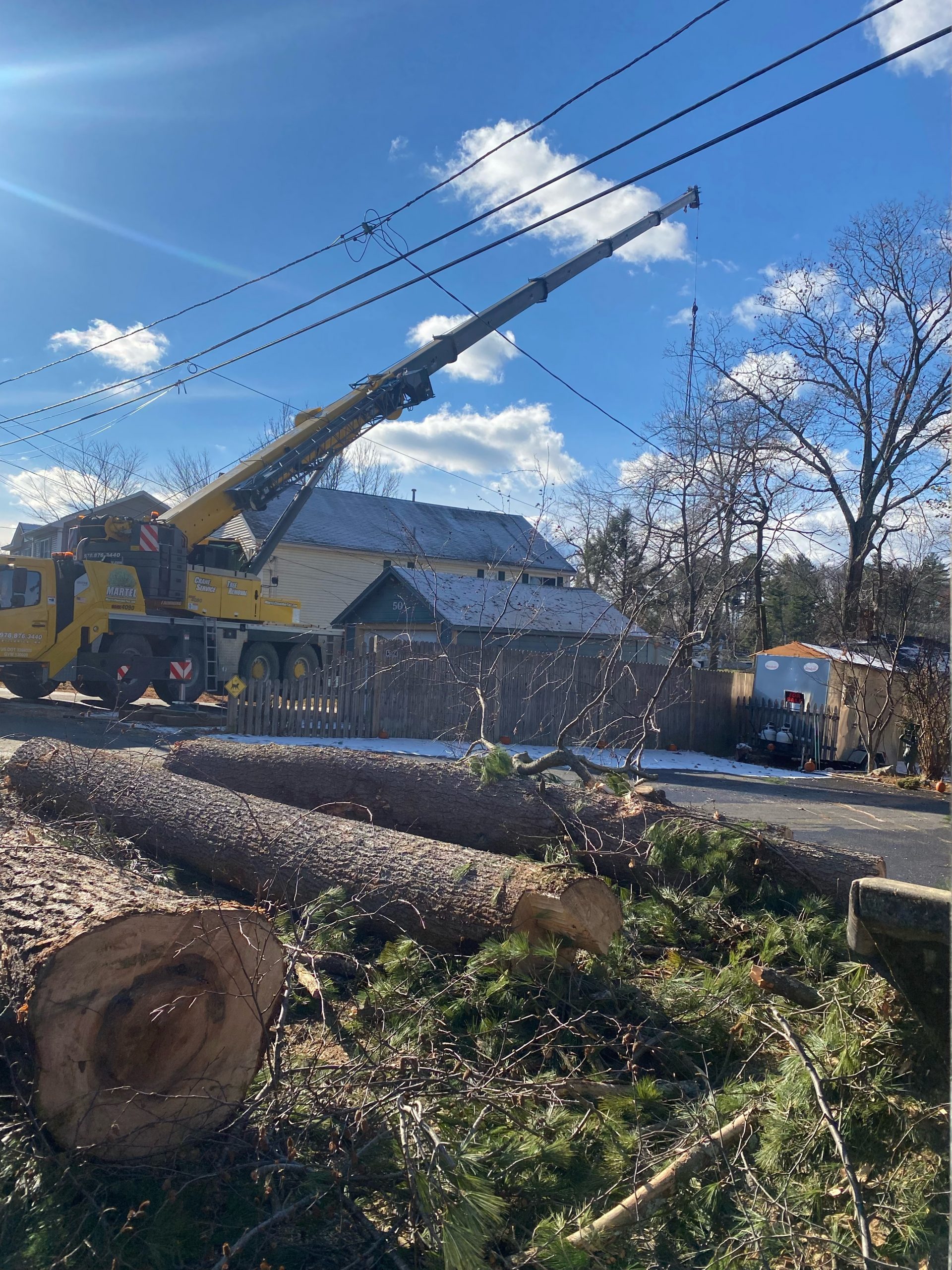 We removed large trees from this property in Dracut, MA.