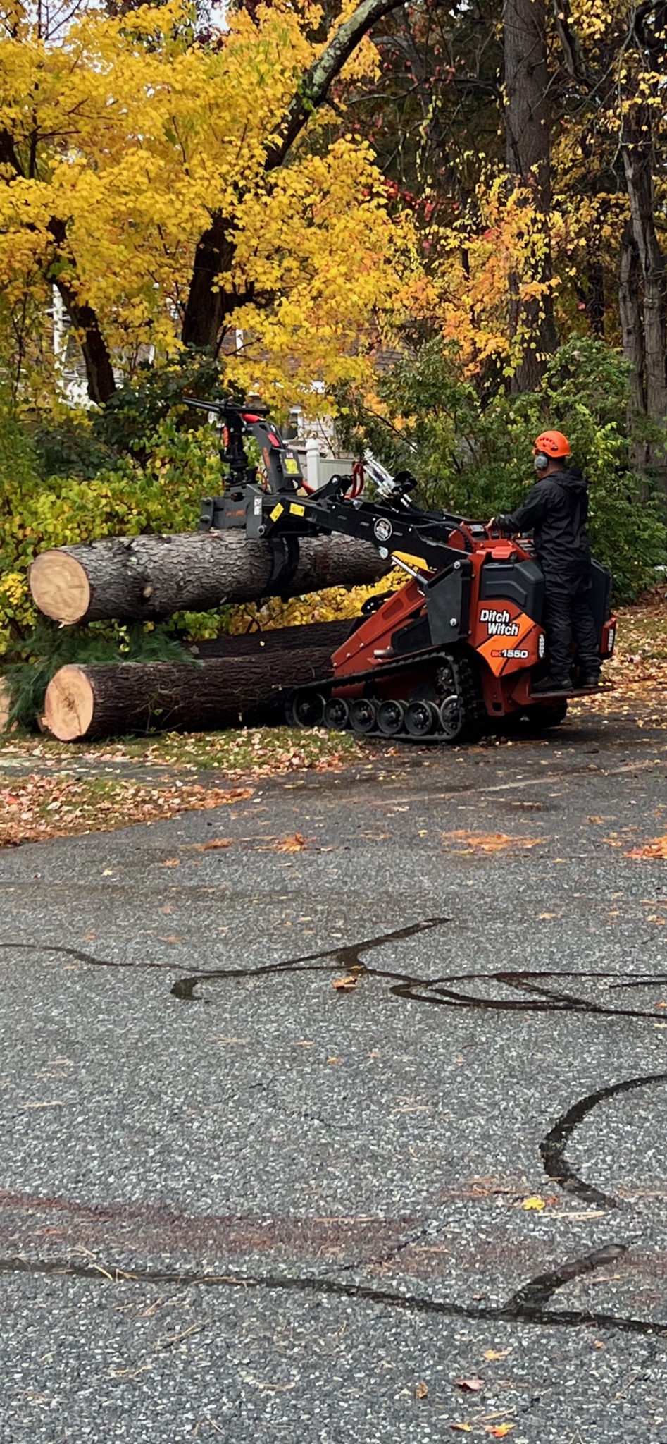 Tree Removal and Cleanup in Billerica, MA.