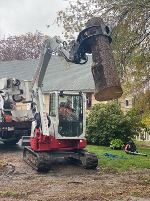 Tree Removal and Crane Service in Wilmington, MA