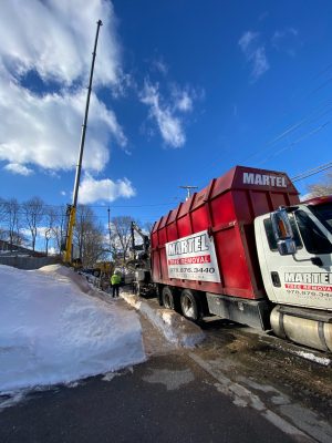 Tree Service and Removal in Lowell, MA.