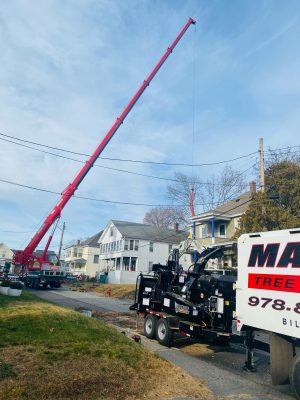 Tree Removal and Crane Service in Lowell, MA.