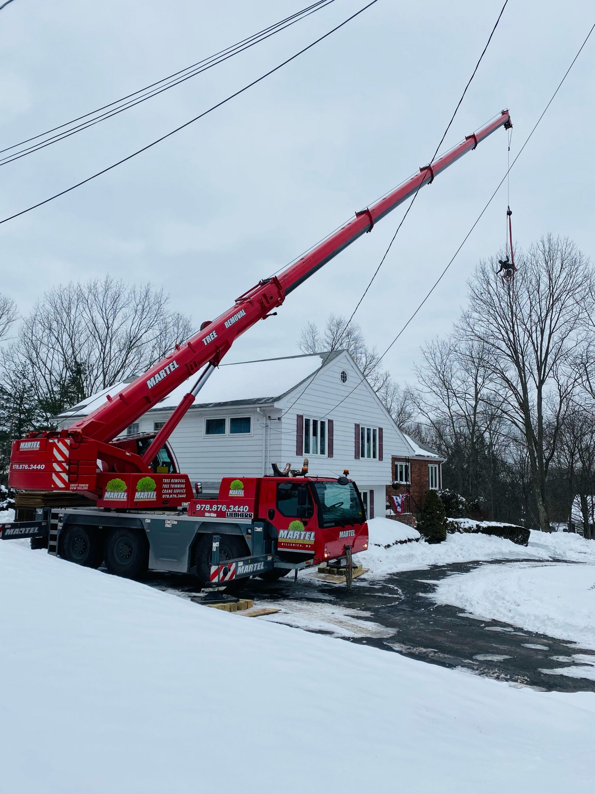 The crew and crane safely removed trees from this property in Winchester, MA.