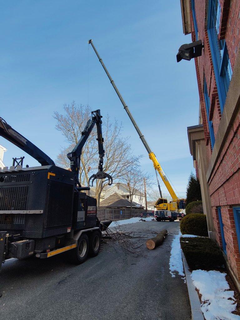 We setup behind this tight neighborhood in Medford, MA to remove trees from a residential property.