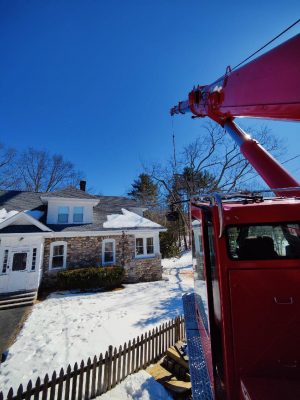 Tree Removal Service in Dracut, MA