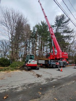 Lot Clearing and Tree Removal in Tewksbury, MA.