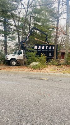 Tree Removal Service in Chelmsford, MA