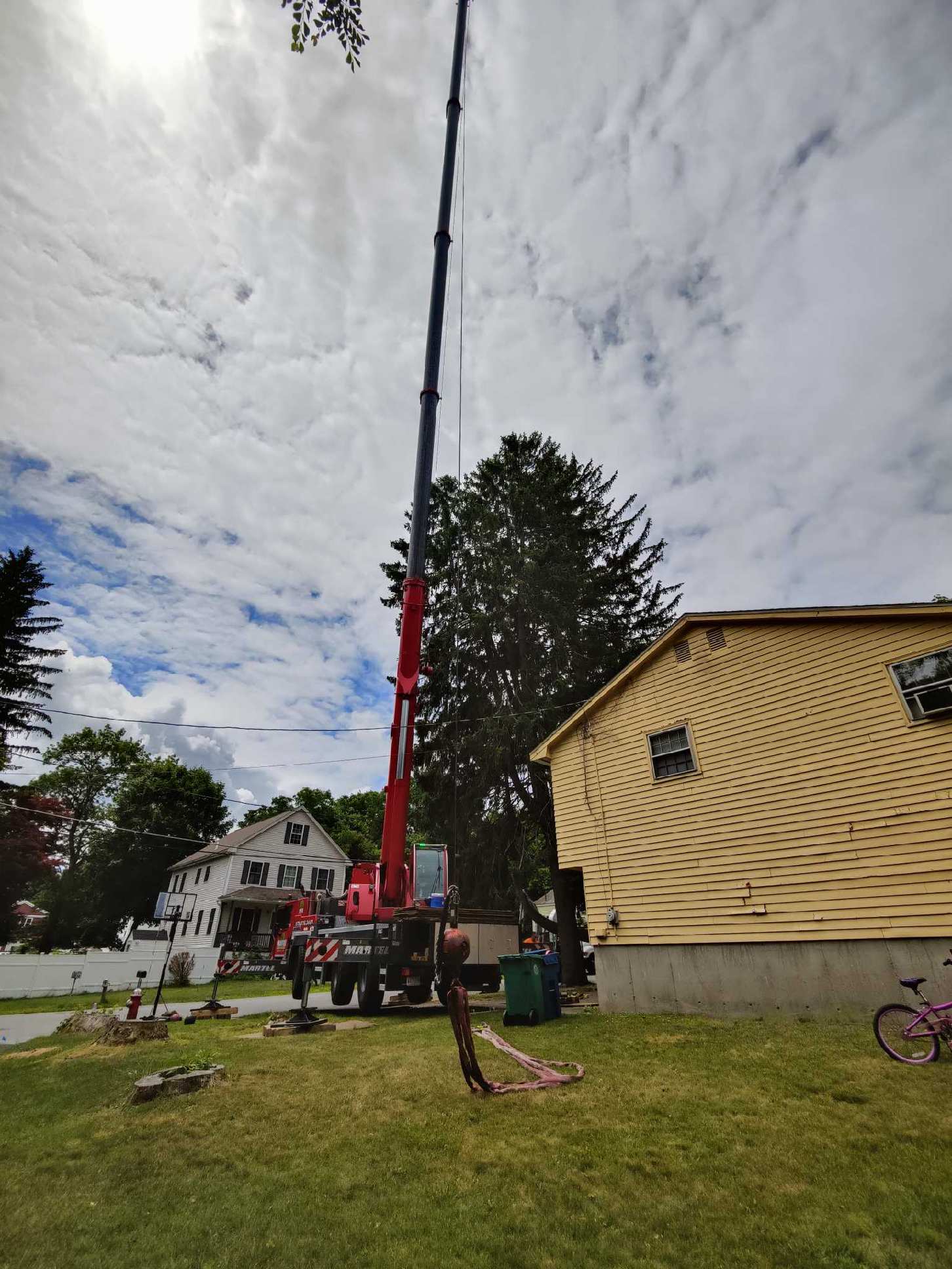 The crew and crane removed this large pine from this home in North Billerica, MA.