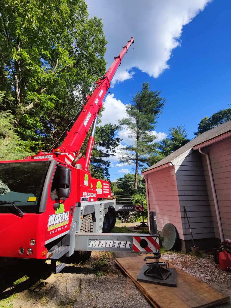 Tree Removal Service in Chelmsford, MA