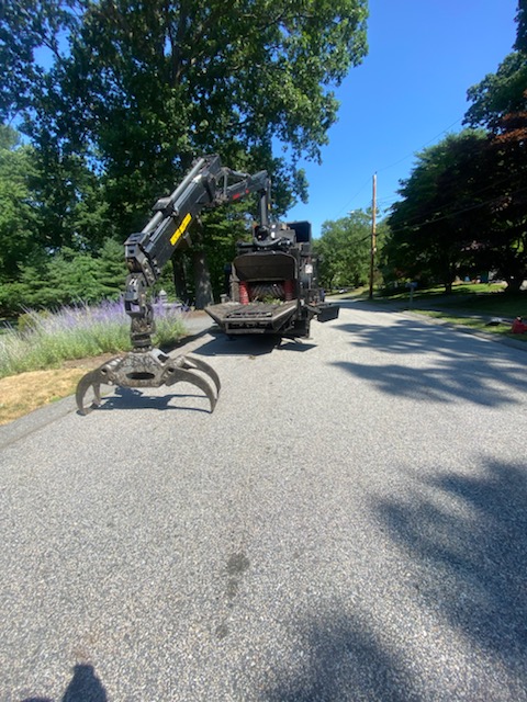 Martel Crane and Tree safely removed multiple trees in Chelmsford, MA.