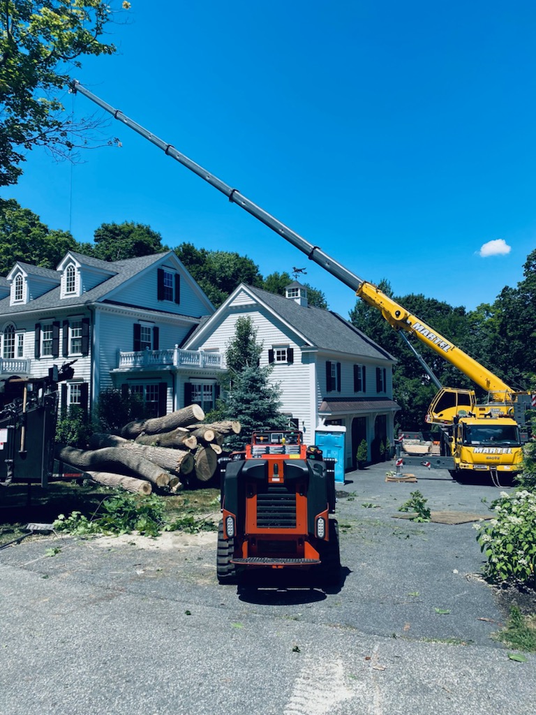 Tree Service and Removal in Andover, MA.