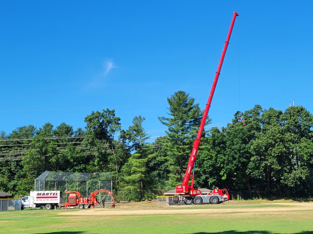 The crew and crane hit it out of the park removing trees at this ballfield in Billerica, MA.