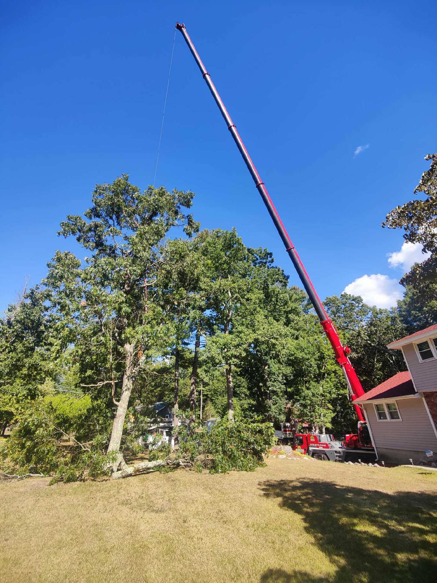 Tree Removal Service in Westford, MA.