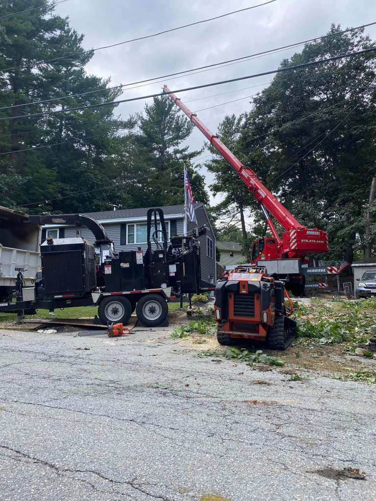Tree Removal and Crane Service in North Billerica, MA.